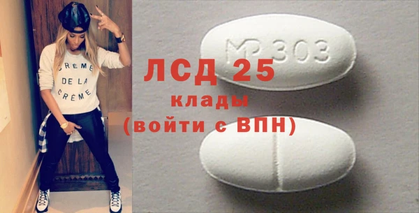 хмурый Верея