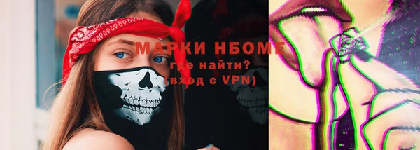 хмурый Верея