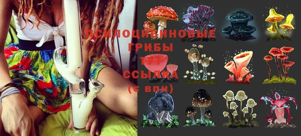 бутират Бронницы