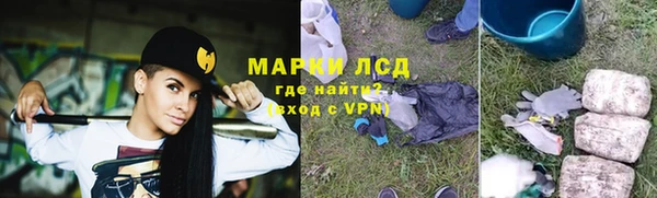 ПСИЛОЦИБИНОВЫЕ ГРИБЫ Сосновка