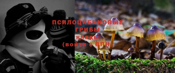 герыч Верхний Тагил